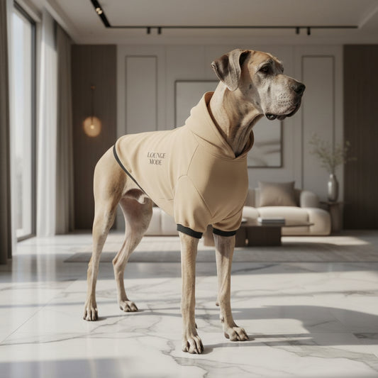 Custom Pet Hoodie Sweatshirt – Personalized Medium & Large Dog Clothing